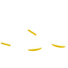 Tap Shoes